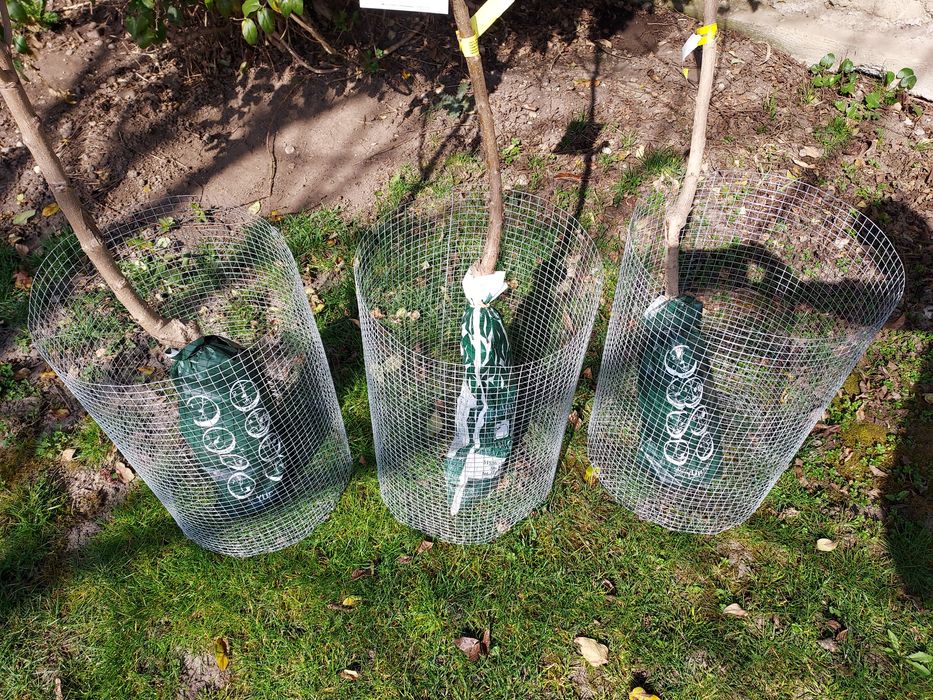 Coș protecție anti cîrtiță