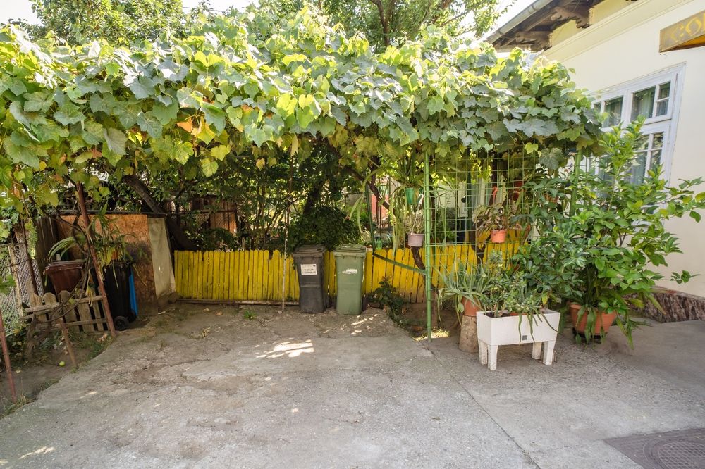 Casa de vanzare Precista