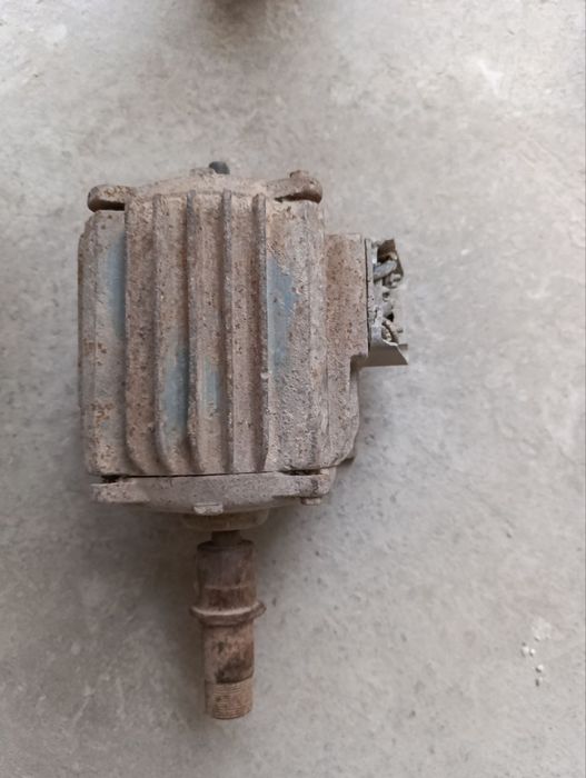 Sifatiga kafolat beraman