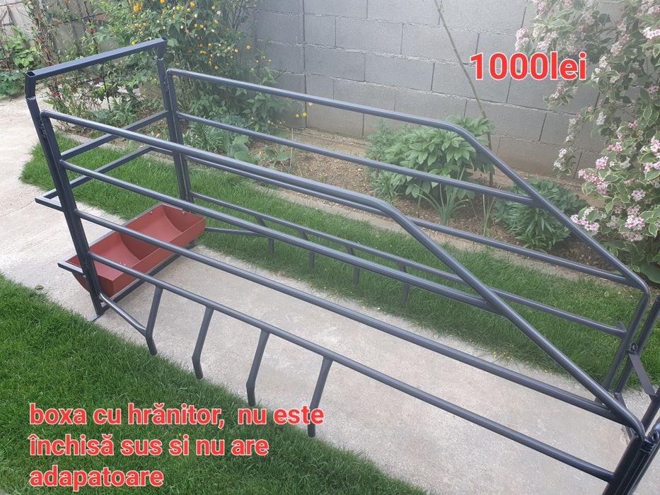 Fătare scroafe boxe