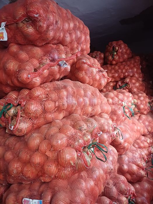 Лук репчатый сухой 30 тонн