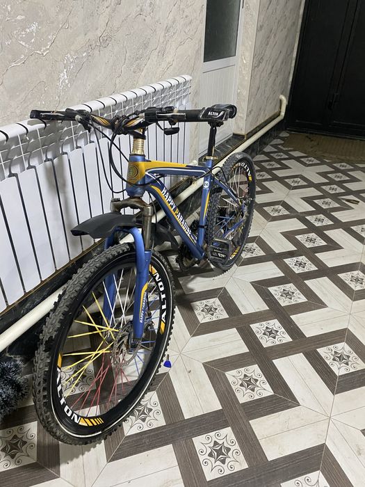 Velik sotiladi bita arqasi teshikk yagidayy