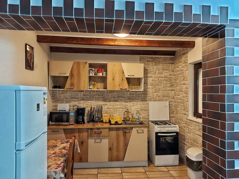 Vila Ada- Sat vacanță Dejani