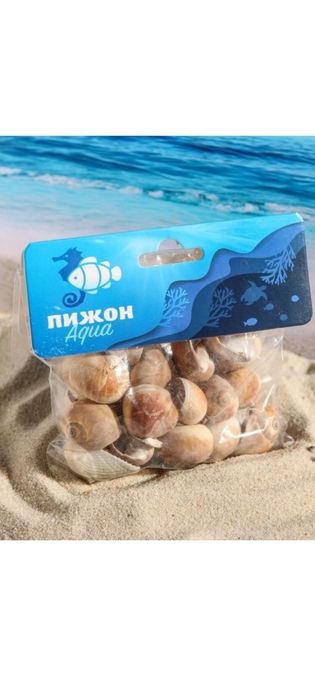 Набор ракушек, 2,5 - 4,5 см, 100 г