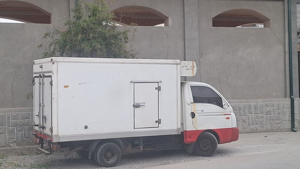 Kareyiski marazilnik -35 -40 gradusnik