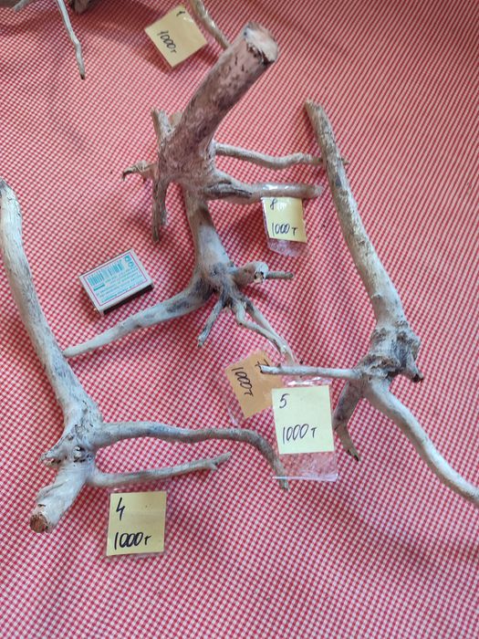 Коряги для поделок или аквариума