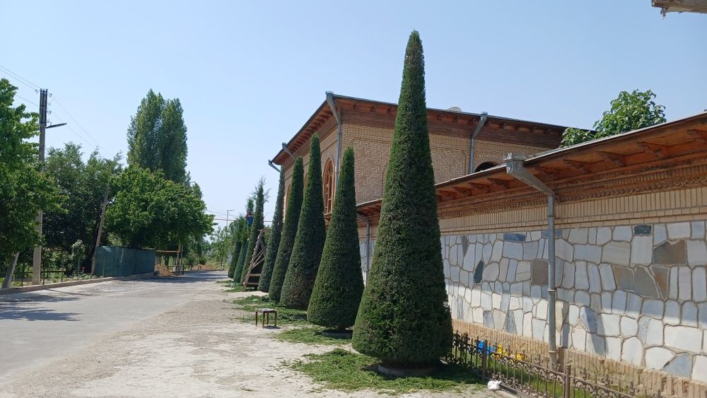Archa kesish va dorilash xizmati Gazon