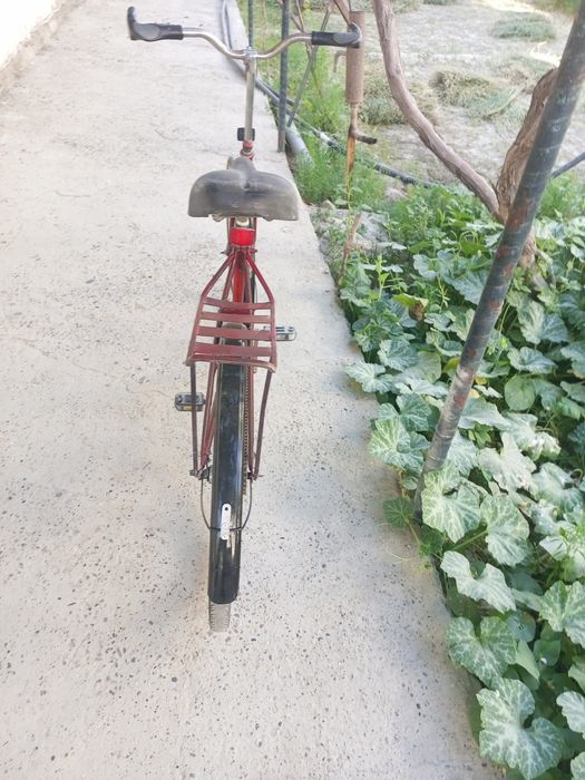 Ural velik sotiladi 500ming
