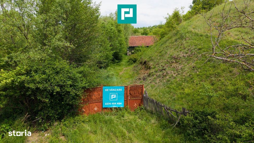 Proprietate de poveste pe Valea Mureșului, Lupești