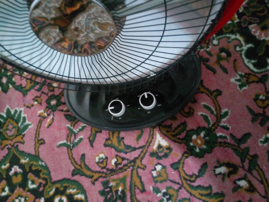 Parbalesky pleta sotiladi