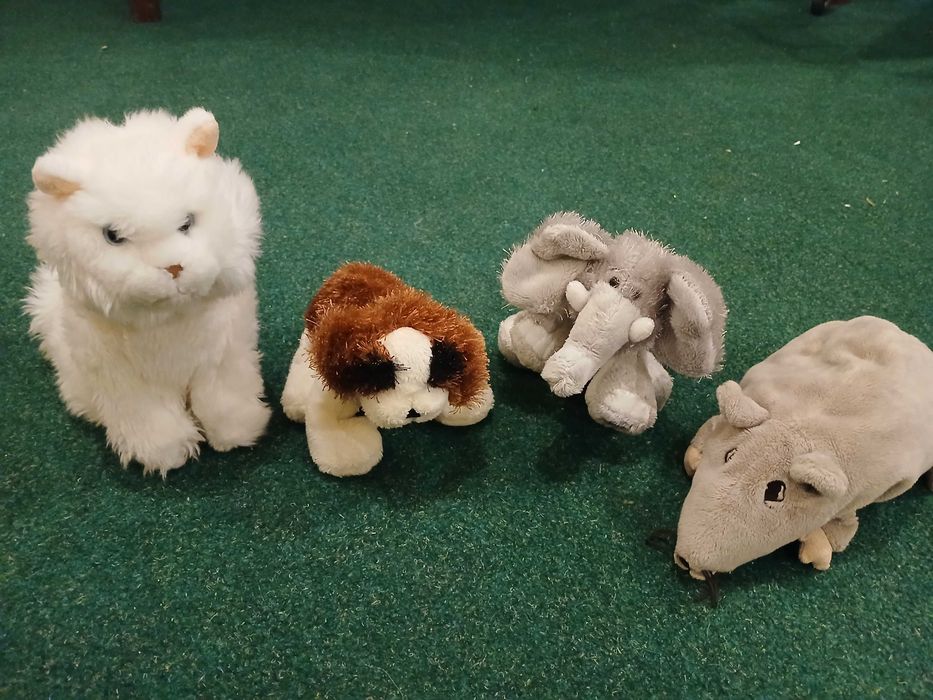 Webkins,  doua buc. la alegere