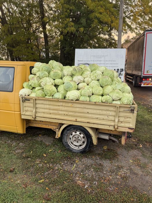 Зеле  балкан къосе и чиарс