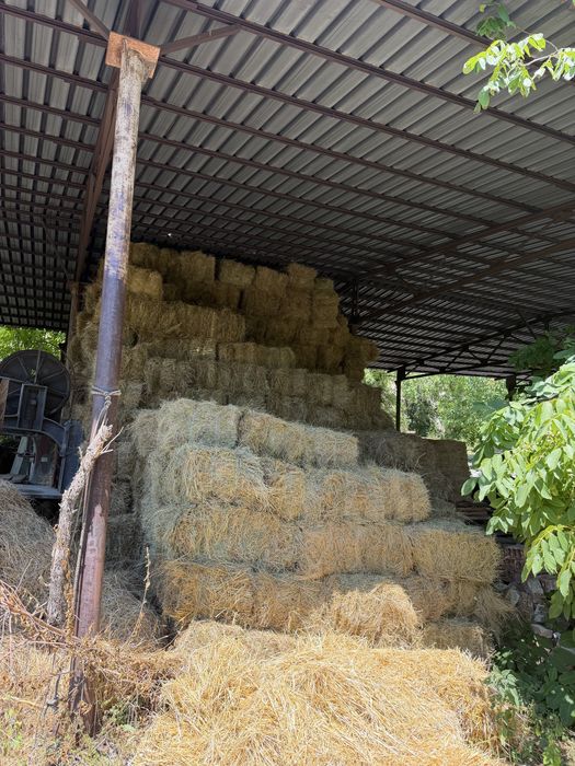 Продавама бали ливадно сено и овесена слама