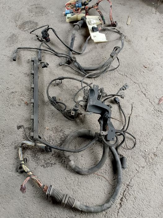 Проводка двигателя БМВ Е60 М54 б30 Косса!