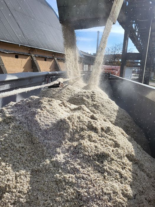 Borhot din sfecla de zahar