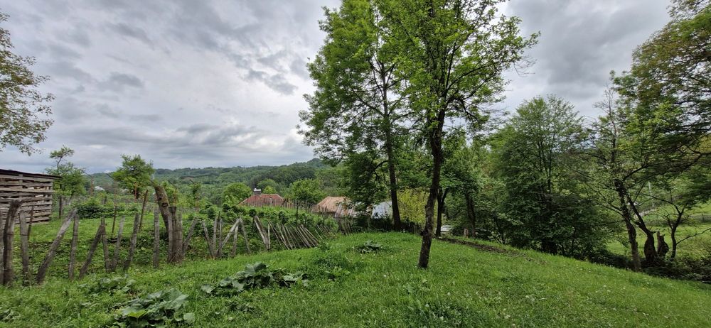 Teren intravilan munte - Arefu (Transfăgărășan)
