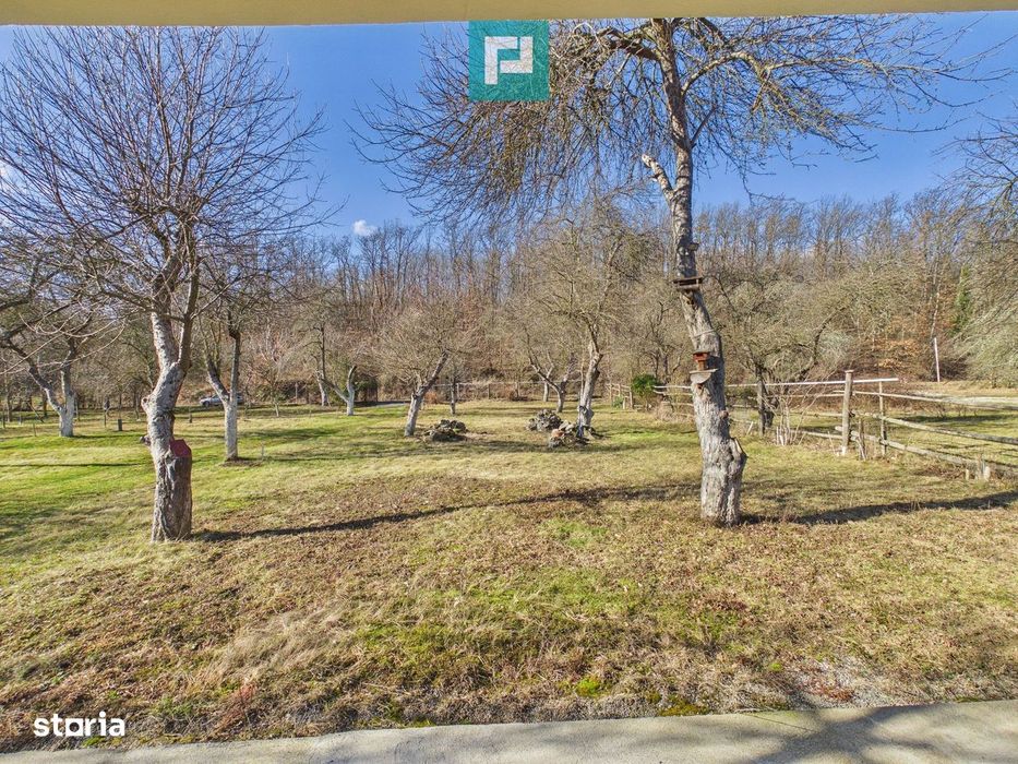 Cabană deosebită cu 4 camere în Căsoaia