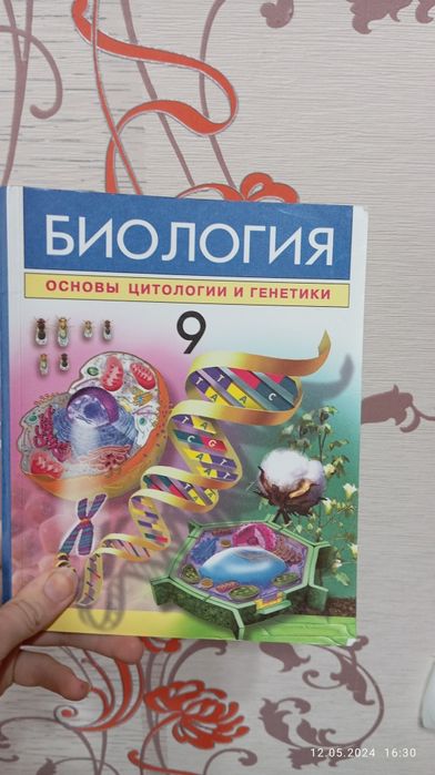 Учебники для школьников