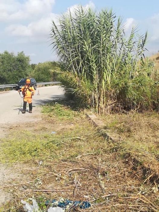 Curatare defrisare terenuri