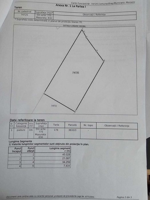 Teren de vis in padure