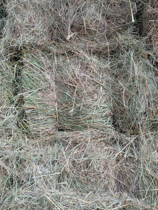Cено в тюках продам