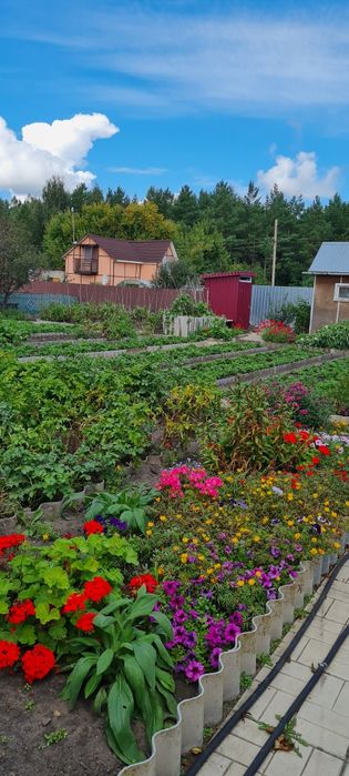 Дачу в обществе Гудок