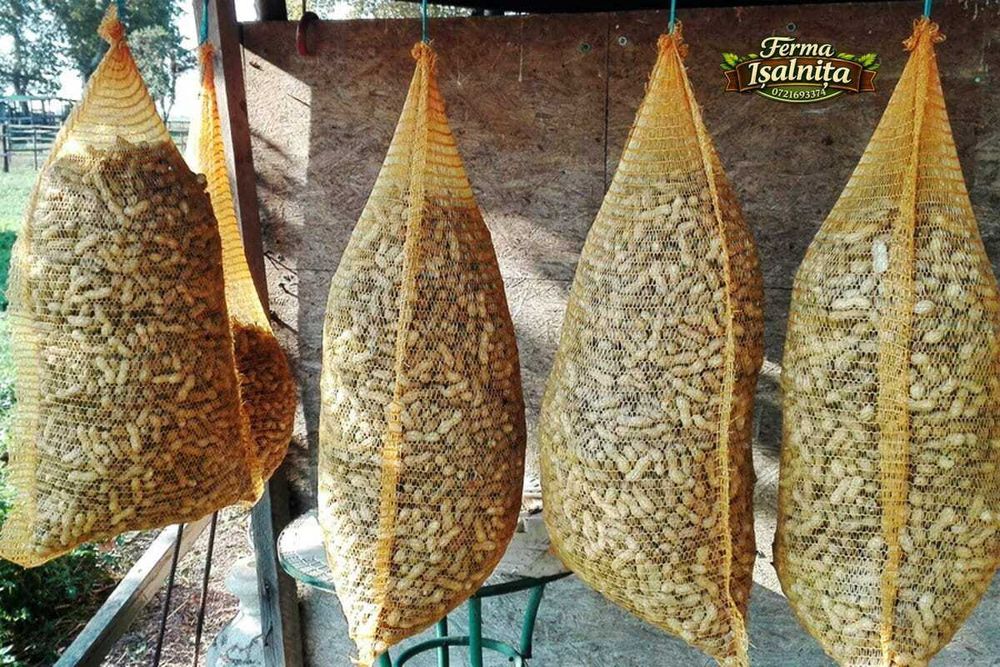 Semințe de alune de pământ arahide