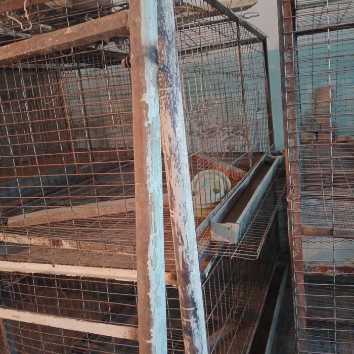 Товук ва куён учун катак сотилади