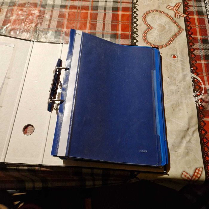 Dosar plastic cu sina