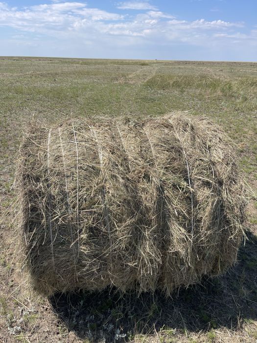 Продам сено рулон 110
