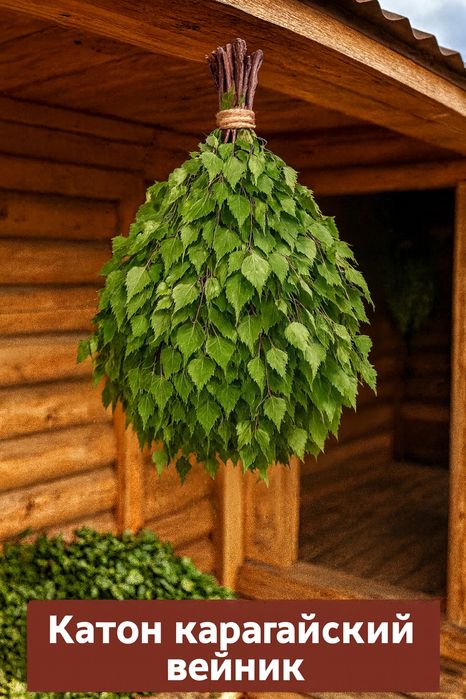 Веники продам свежий