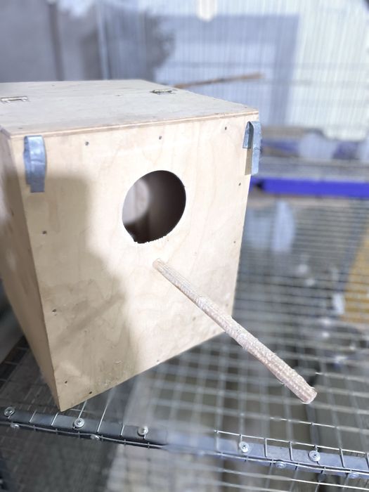 Dublyanka narxi arzon narxlada