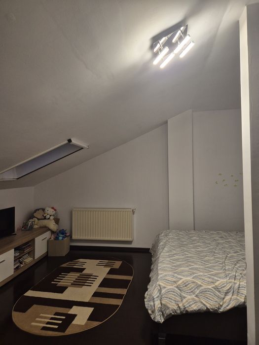 Apartament – Lunca Cetatuii - Vedere 4