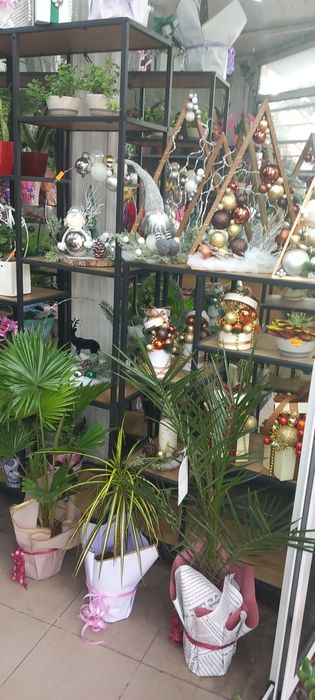 Подаръци за коледа и цветя