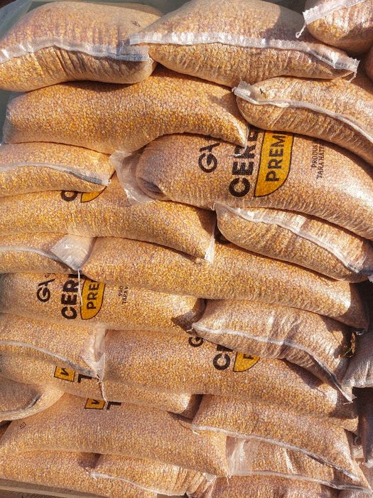 Porumb și Grâu boabe