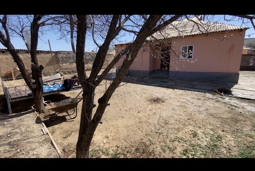 Большой дом в Туркестане