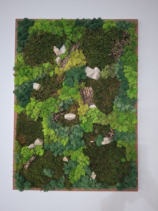 Tablouri cu licheni stabilizati, muschi si flori