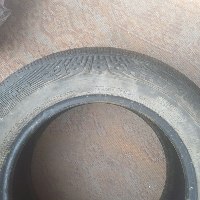 Летняя Соntinental R16