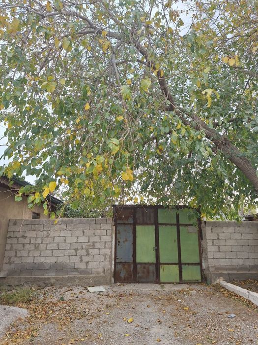 Зарафшон ОАЗИСда ховли