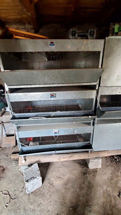 Inkubator 1000 o'rinli