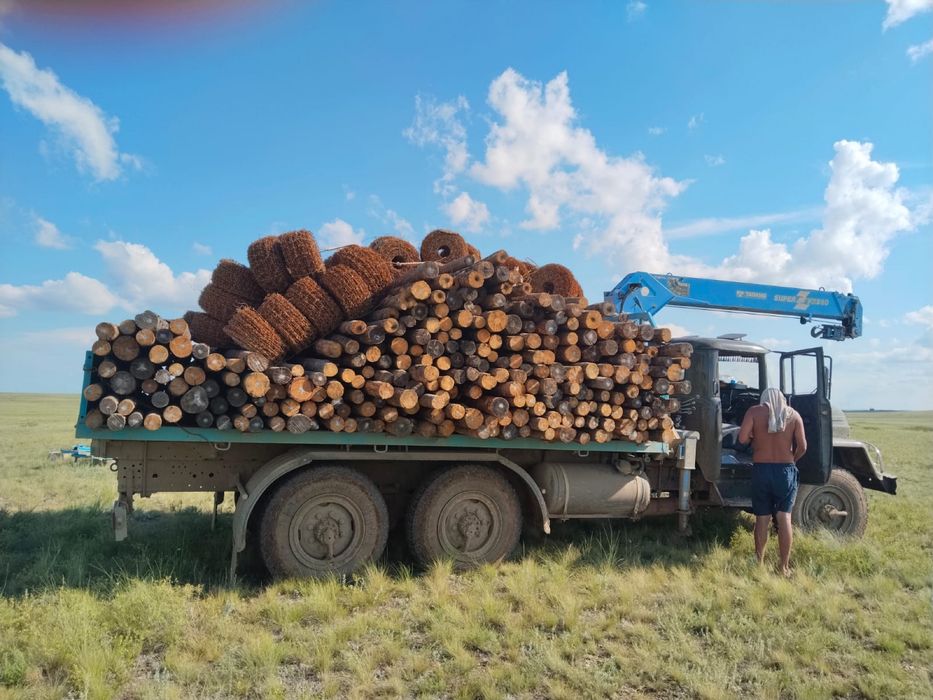 Услуги монипулятора
