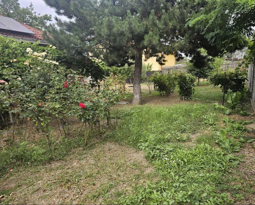 Casă bătrânească cu teren 625 mp  în Bariera Vâlcii (str.. Ramuri)