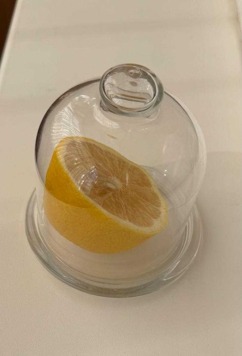 Посуда Лимонница, контейнер