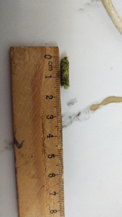 Гранулятор гранулятор