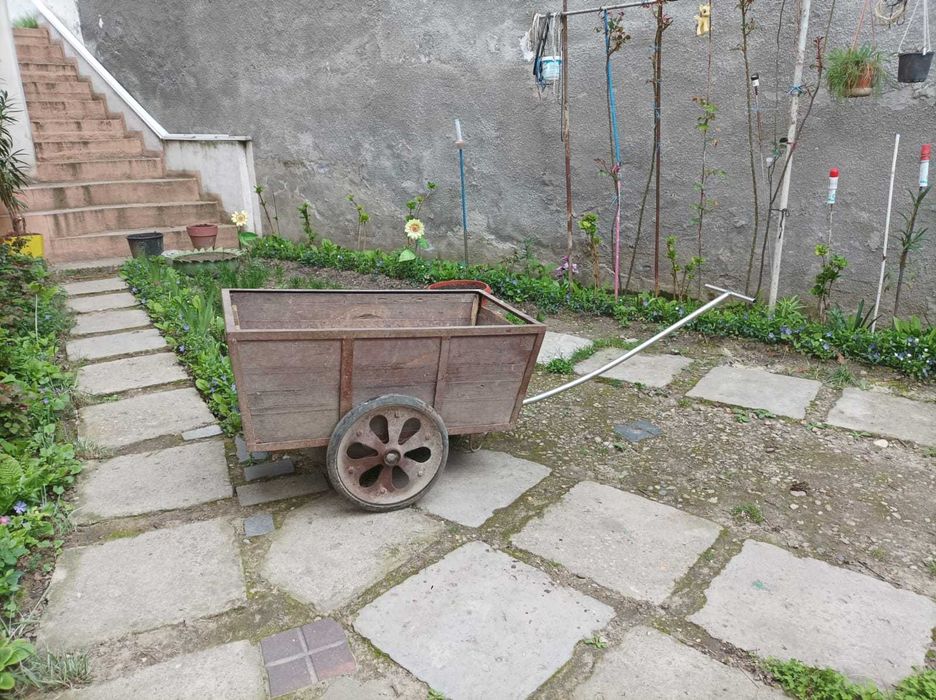 Vand carut de curte/gradina