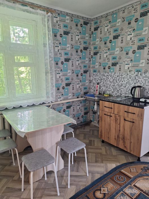 Сдам дом в центре Борового