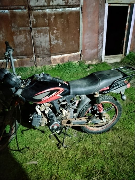 Продам альфу  2023