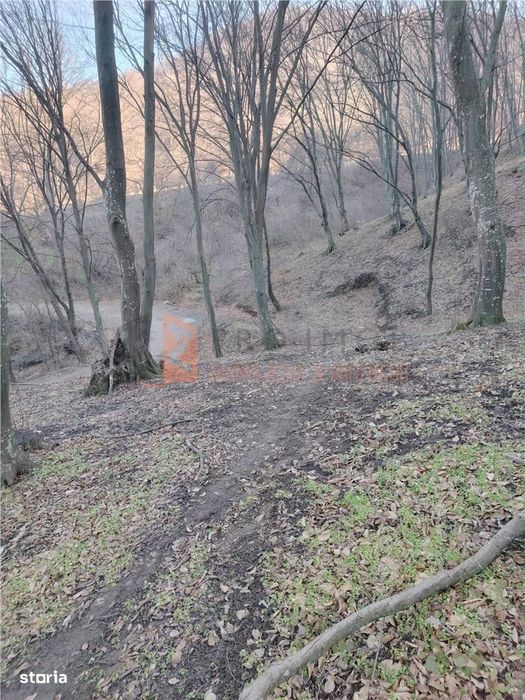 Teren intravilan zona Monteoru