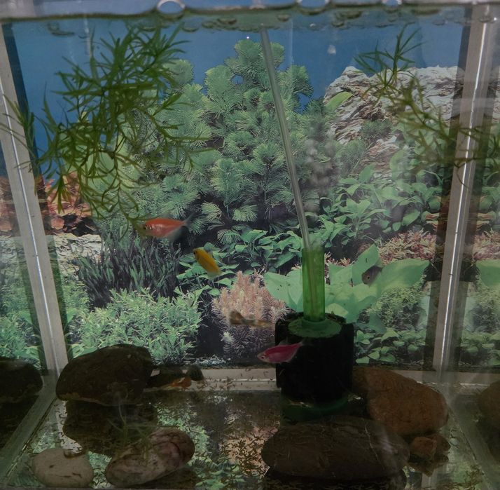 Продам аквариум  с рыбками