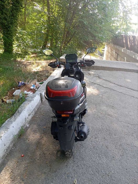 Продается Drongo 2025